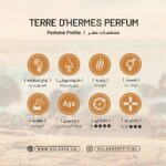 نایس ادکلن تق هرمس 100میل (طرح ارجینال)