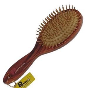 برس سوزن چوبی _ پانته آ