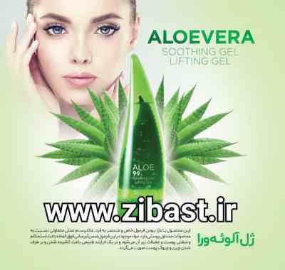 IMG_20210214_170643_796.jpg ژل ضدچروک و لیفتینگ آلوئه وار 250میل - سودا