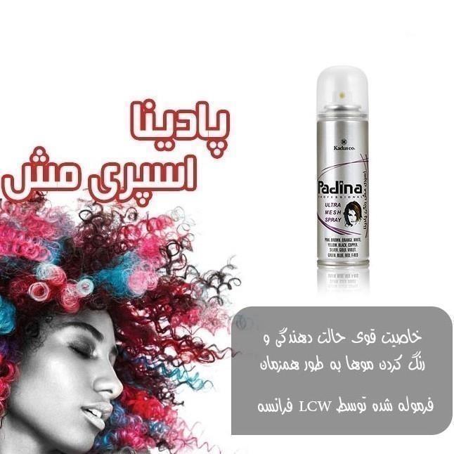PadinaaMesh.jpg اسپری مش موی 150میل _ پادینا